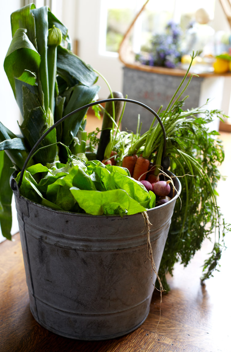 Fresh-Picked-Veggies-in-Pail